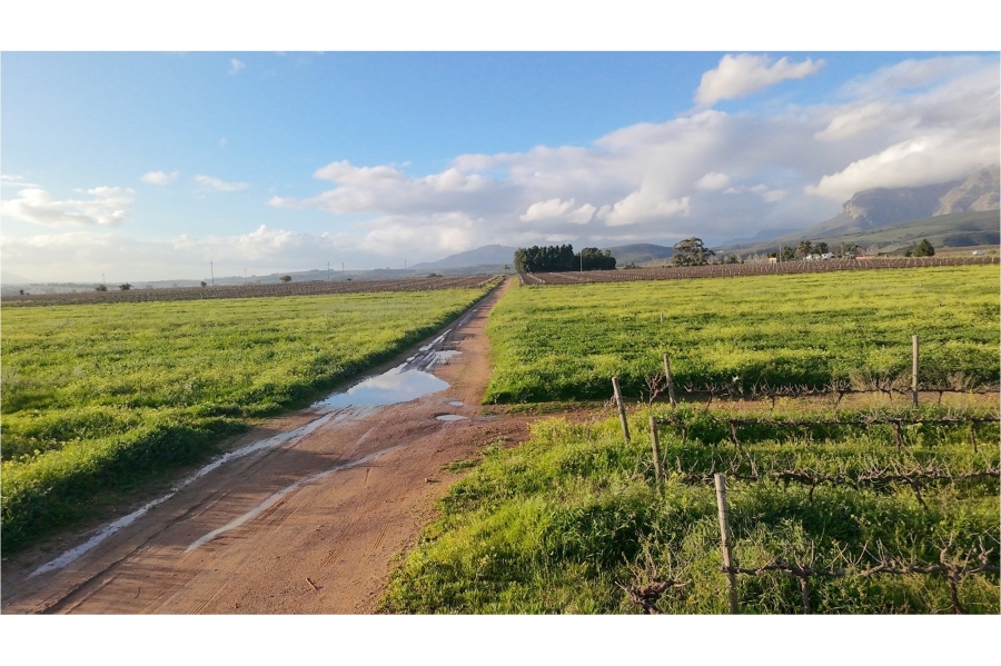 0 Bedroom Property for Sale in Paarl Rural Western Cape
